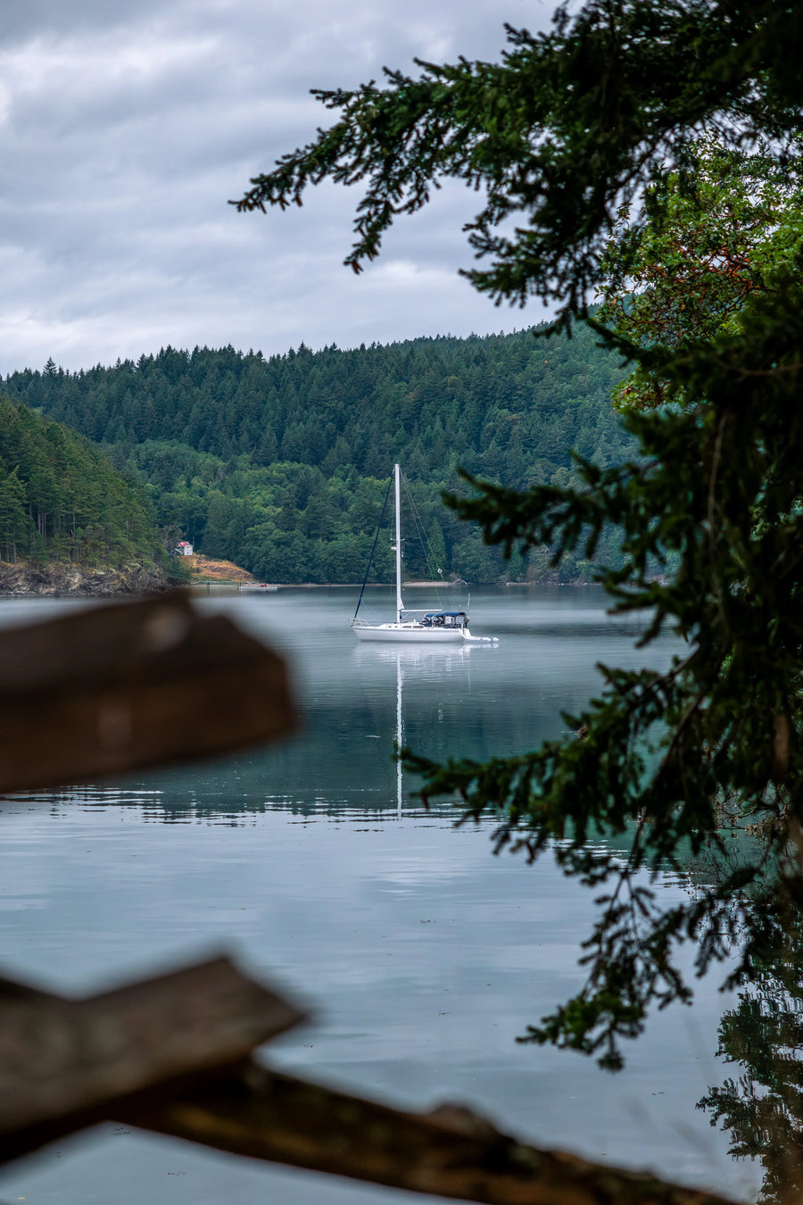 Sailboat in a Bay in the Southern Gulf Islands, Vertical